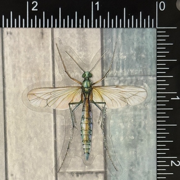 🌀10/$10🌀 Translucent Moth Dragonfly Beetle Reusable Waterproof Sticker Decal - Picture 1 of 1